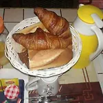 Le Chant Des Oiseaux