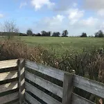 Le Chant Des Oiseaux