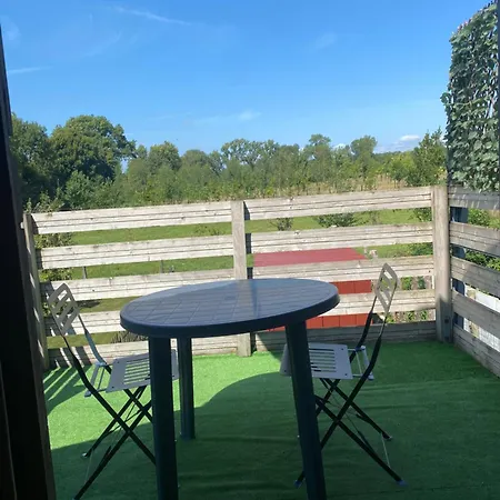 Le Chant Des Oiseaux Nibas