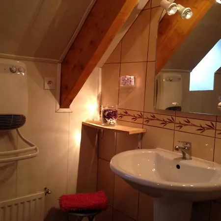 Le Chant Des Oiseaux Nibas