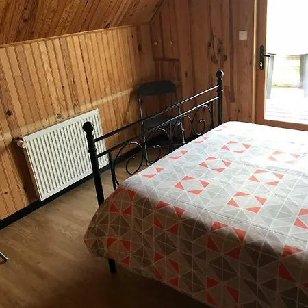 Le Chant Des Oiseaux