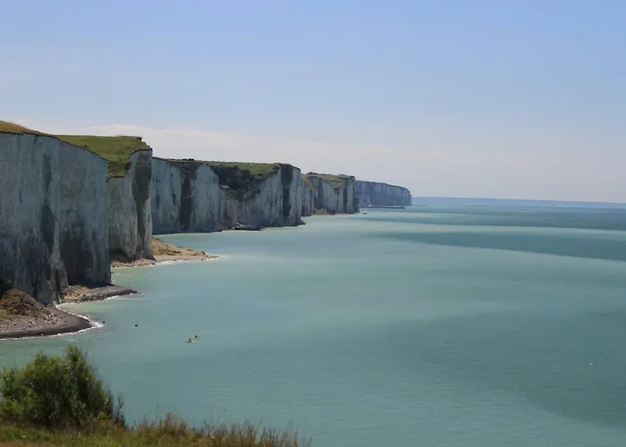 Le Chant Des Oiseaux