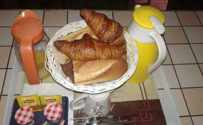 Le Chant Des Oiseaux