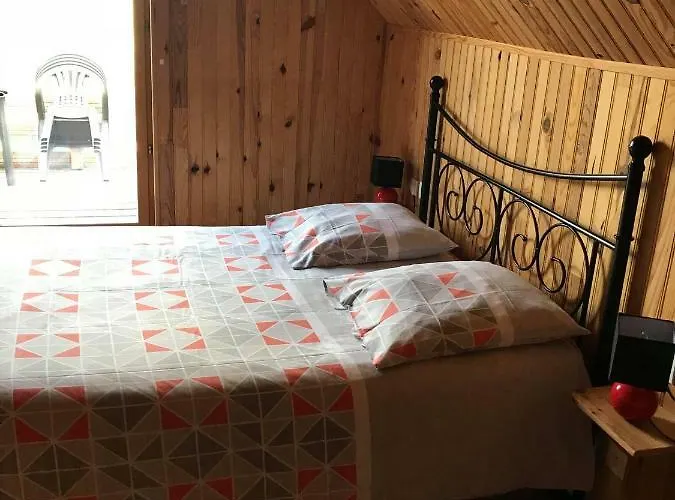 Le Chant Des Oiseaux