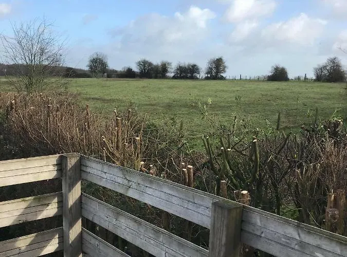 Le Chant Des Oiseaux